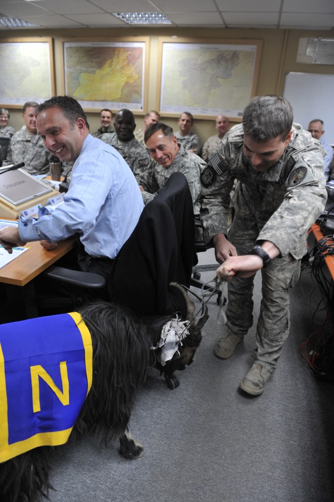 KABUL, Afghanistan (Dec. 11, 2010) Gen. David H. Petraeus, center, commander of the NATO International Security Assistance Force (IASF) and U.S. Forces Afghanistan, watches as a staff member, right, removes a goat adorned with a Navy flag during his morning meeting. Vice Adm. Robert S. Harward, commander of Combined Joint Interagency Task Force 435, dispatched four Sailors to give the general the goat, the U.S. Naval Academy mascot, before the Army-Navy football game in Philadelphia. U.S. Air Force photo Master Sgt. Adam M. Stump. Caption: U.S. Navy.