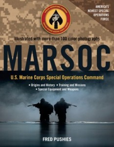 MARSOC Us Marine-Corps-Special-Operations-Command-by-Fred-Pushies-300x385