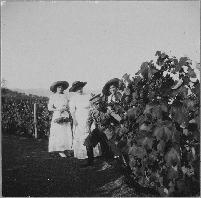 Olga and Tatiana picking grapes with Tsar Nicholas II