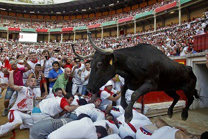 A cow jumps over revelers lying down on the bull ring at the end of the fifth run of the famed San Fermin festival, in Pamplona northern Spain on Thursday, July 11, 2013. One person has been hospitalized after several thousand people tested their speed and bravery by dashing with six fighting bulls through the streets of the northern Spanish city of Pamplona. Today.com.