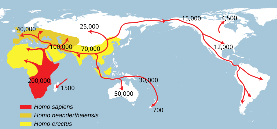 The global spread of homo sapiens.